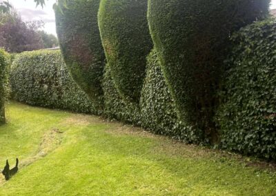 woodwards garden services facebook gallery 14